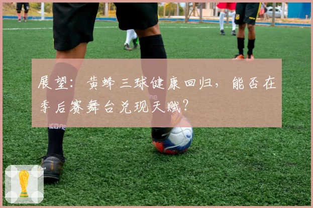 展望:黄蜂三球健康回归,能否在季后赛舞台兑现天赋?