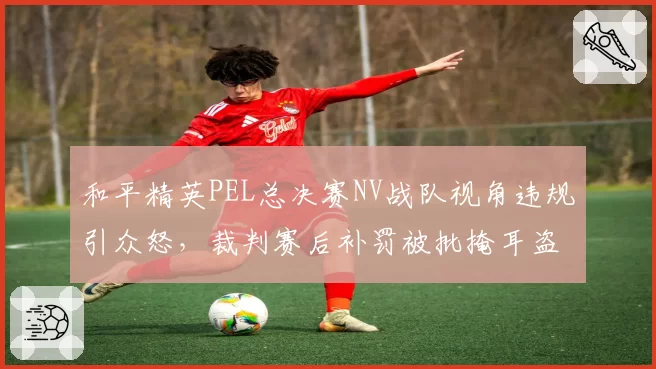 和平精英PEL总决赛NV战队视角违规引众怒，裁判赛后补罚被批掩耳盗铃