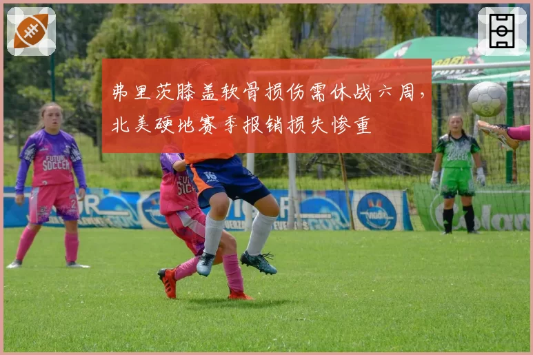 弗里茨膝盖软骨损伤需休战六周，北美硬地赛季报销损失惨重