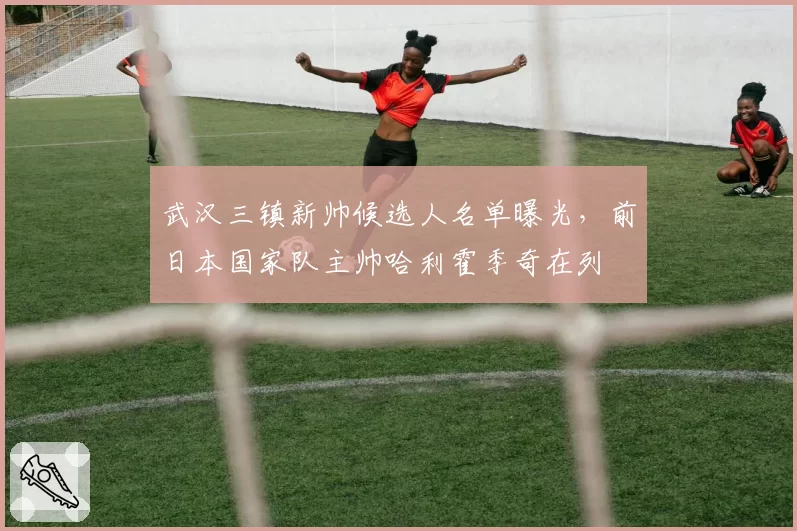 武汉三镇新帅候选人名单曝光，前日本国家队主帅哈利霍季奇在列
