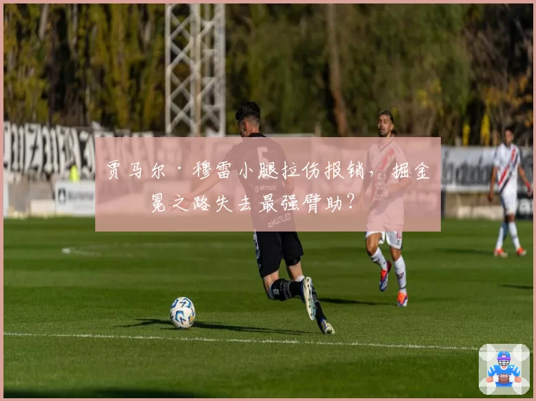 贾马尔·穆雷小腿拉伤报销,掘金卫冕之路失去最强臂助?